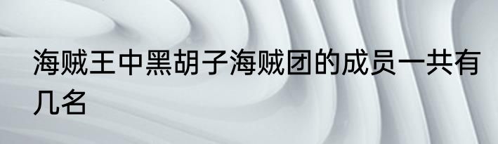 海贼王中黑胡子海贼团的成员一共有几名