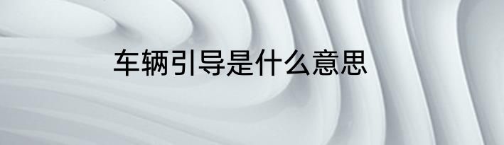 车辆引导是什么意思