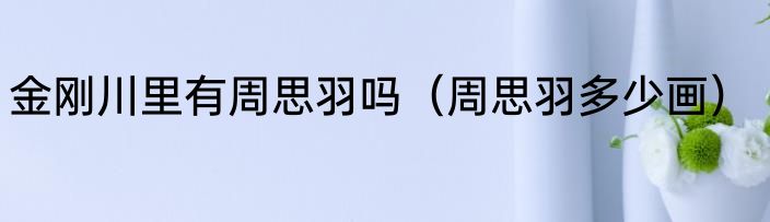 金刚川里有周思羽吗（周思羽多少画）