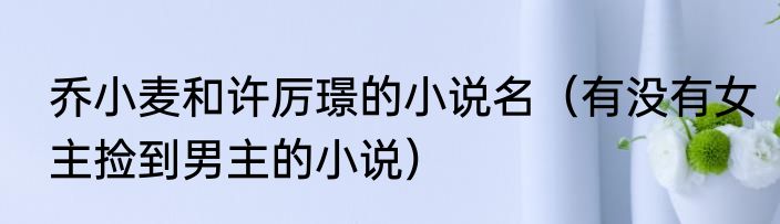 乔小麦和许厉璟的小说名（有没有女主捡到男主的小说）