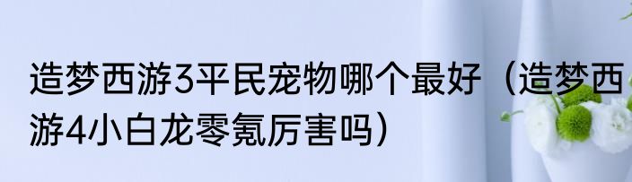 造梦西游3平民宠物哪个最好（造梦西游4小白龙零氪厉害吗）