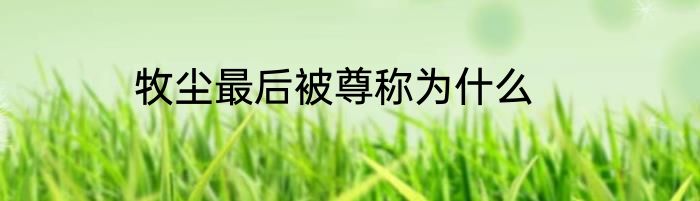 牧尘最后被尊称为什么