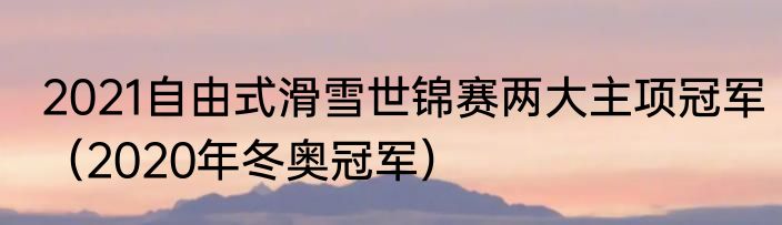 2021自由式滑雪世锦赛两大主项冠军（2020年冬奥冠军）