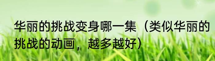 华丽的挑战变身哪一集（类似华丽的挑战的动画，越多越好）