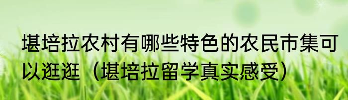 堪培拉农村有哪些特色的农民市集可以逛逛（堪培拉留学真实感受）