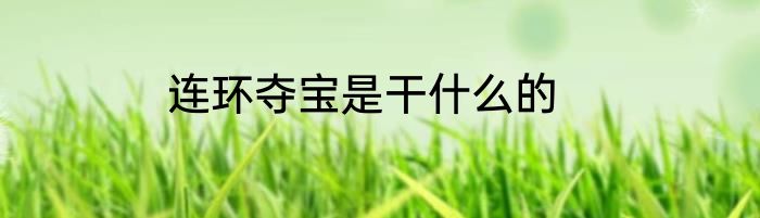 连环夺宝是干什么的