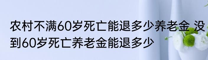农村不满60岁死亡能退多少养老金 没到60岁死亡养老金能退多少