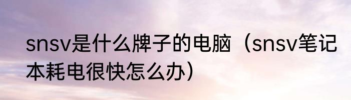 snsv是什么牌子的电脑（snsv笔记本耗电很快怎么办）