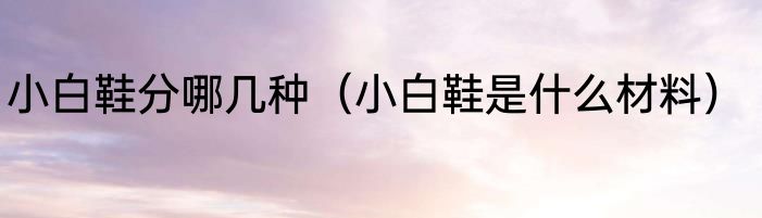 小白鞋分哪几种（小白鞋是什么材料）