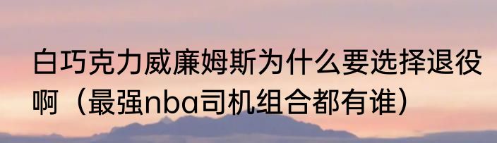 白巧克力威廉姆斯为什么要选择退役啊（最强nba司机组合都有谁）