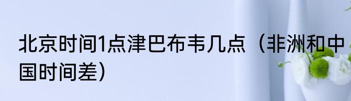 北京时间1点津巴布韦几点（非洲和中国时间差）