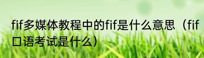 fif多媒体教程中的fif是什么意思（fif口语考试是什么）