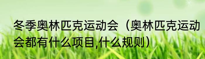 冬季奥林匹克运动会（奥林匹克运动会都有什么项目,什么规则）