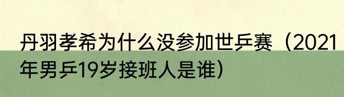 丹羽孝希为什么没参加世乒赛（2021年男乒19岁接班人是谁）