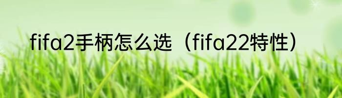 fifa2手柄怎么选（fifa22特性）