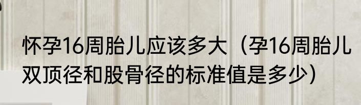 怀孕16周胎儿应该多大（孕16周胎儿双顶径和股骨径的标准值是多少）