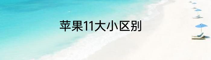 苹果11大小区别