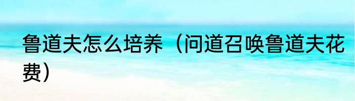 鲁道夫怎么培养（问道召唤鲁道夫花费）