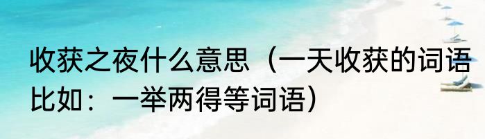 收获之夜什么意思（一天收获的词语比如：一举两得等词语）