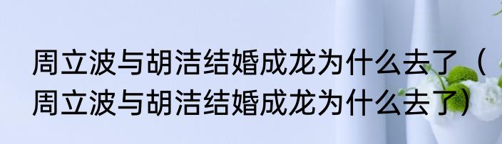 周立波与胡洁结婚成龙为什么去了（周立波与胡洁结婚成龙为什么去了）