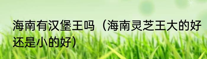 海南有汉堡王吗（海南灵芝王大的好还是小的好）