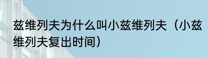 兹维列夫为什么叫小兹维列夫（小兹维列夫复出时间）