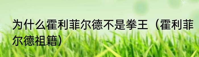 为什么霍利菲尔德不是拳王（霍利菲尔德祖籍）