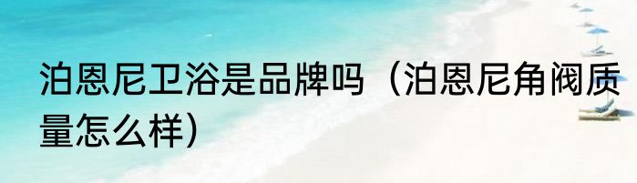 泊恩尼卫浴是品牌吗（泊恩尼角阀质量怎么样）