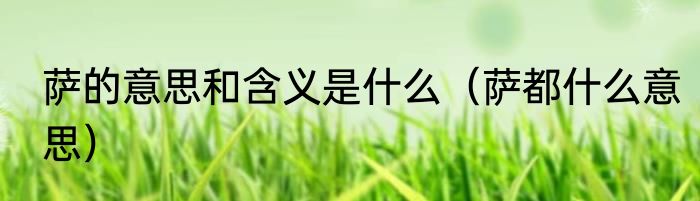 萨的意思和含义是什么（萨都什么意思）