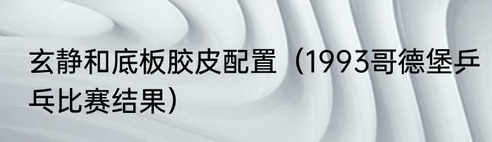 玄静和底板胶皮配置（1993哥德堡乒乓比赛结果）