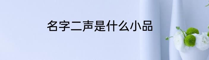 名字二声是什么小品