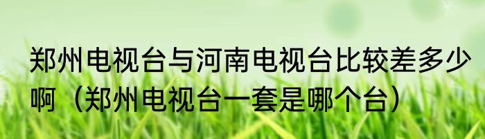 郑州电视台与河南电视台比较差多少啊（郑州电视台一套是哪个台）