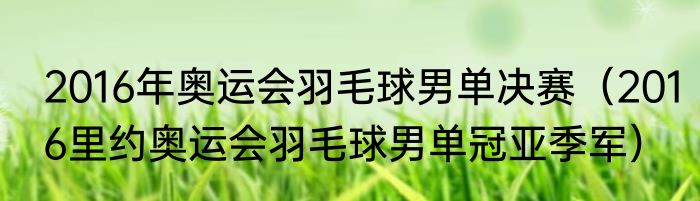 2016年奥运会羽毛球男单决赛（2016里约奥运会羽毛球男单冠亚季军）