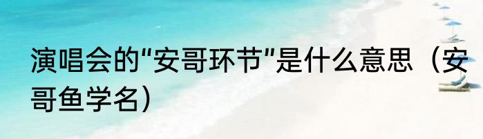 演唱会的“安哥环节”是什么意思（安哥鱼学名）