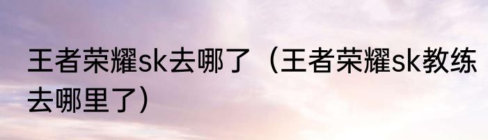 王者荣耀sk去哪了（王者荣耀sk教练去哪里了）