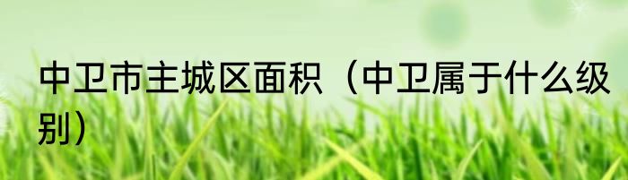 中卫市主城区面积（中卫属于什么级别）