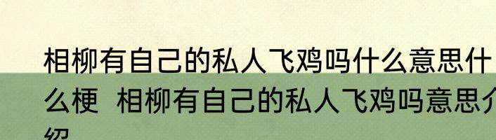 相柳有自己的私人飞鸡吗什么意思什么梗  相柳有自己的私人飞鸡吗意思介绍