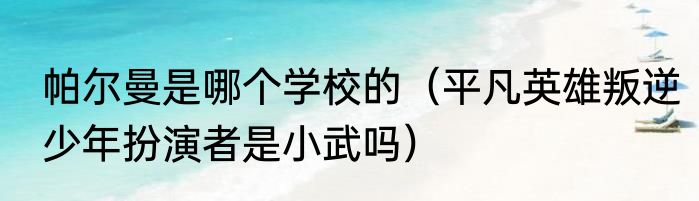 帕尔曼是哪个学校的（平凡英雄叛逆少年扮演者是小武吗）