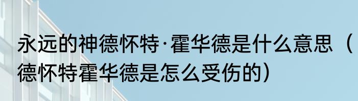 永远的神德怀特·霍华德是什么意思（德怀特霍华德是怎么受伤的）