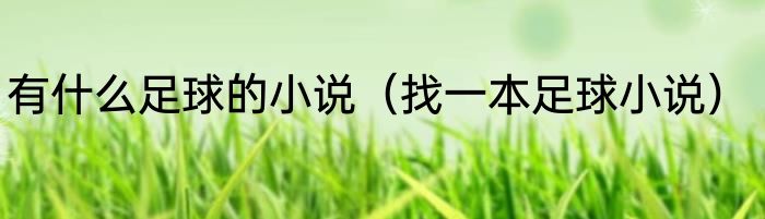 有什么足球的小说（找一本足球小说）