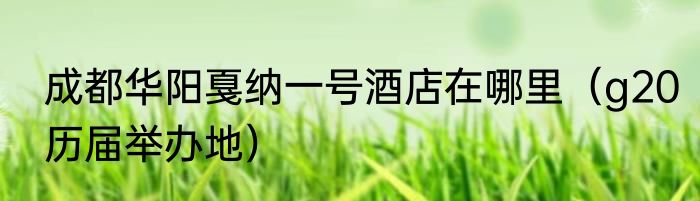 成都华阳戛纳一号酒店在哪里（g20历届举办地）
