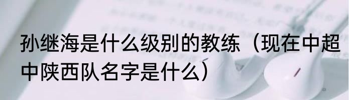 孙继海是什么级别的教练（现在中超中陕西队名字是什么）