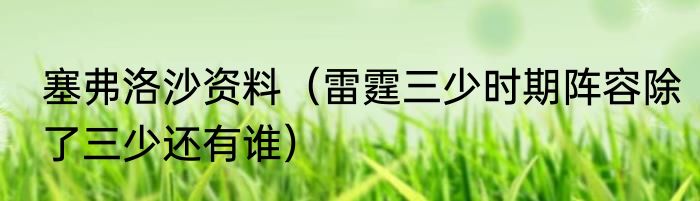 塞弗洛沙资料（雷霆三少时期阵容除了三少还有谁）