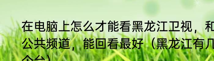 在电脑上怎么才能看黑龙江卫视，和公共频道，能回看最好（黑龙江有几个台）