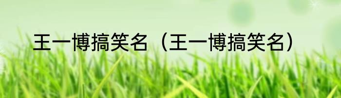 王一博搞笑名（王一博搞笑名）