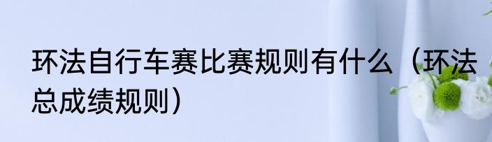 环法自行车赛比赛规则有什么（环法总成绩规则）