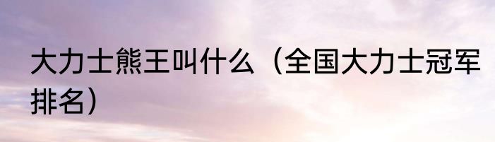 大力士熊王叫什么（全国大力士冠军排名）