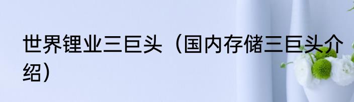 世界锂业三巨头（国内存储三巨头介绍）