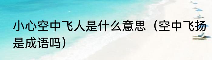 小心空中飞人是什么意思（空中飞扬是成语吗）