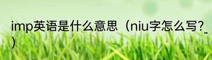 imp英语是什么意思（niu字怎么写?_）
